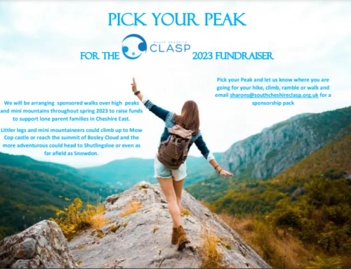 Pick Your Peak 2023 Fundraiser